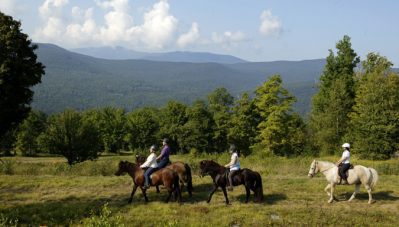 tolt sugarbush equitours