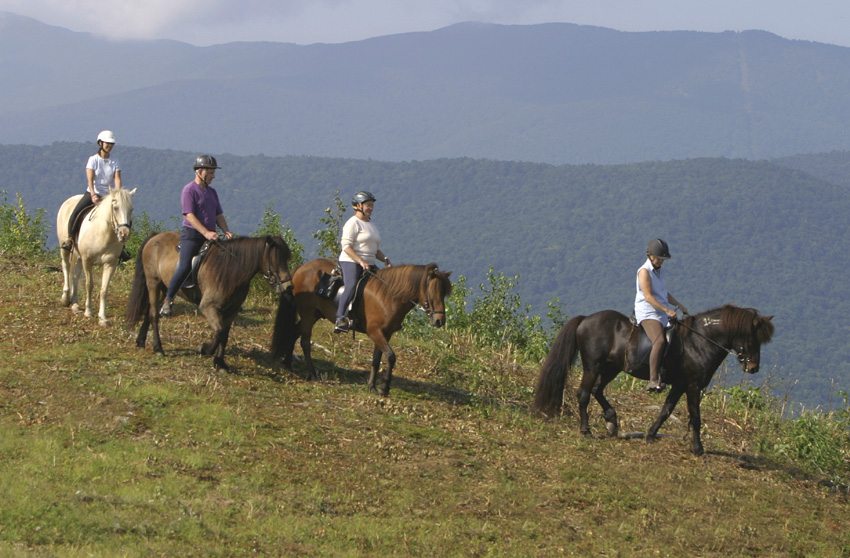 Ride the the spectacular landscape on the Sugarbush Tolt Trek horseback riding trip in Vermont