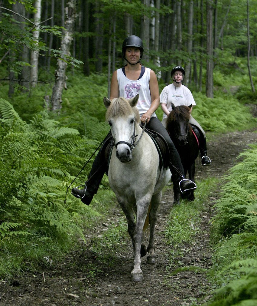 Photo Gallery Sugarbush Tolt Trek a horseback riding tour in Vermont