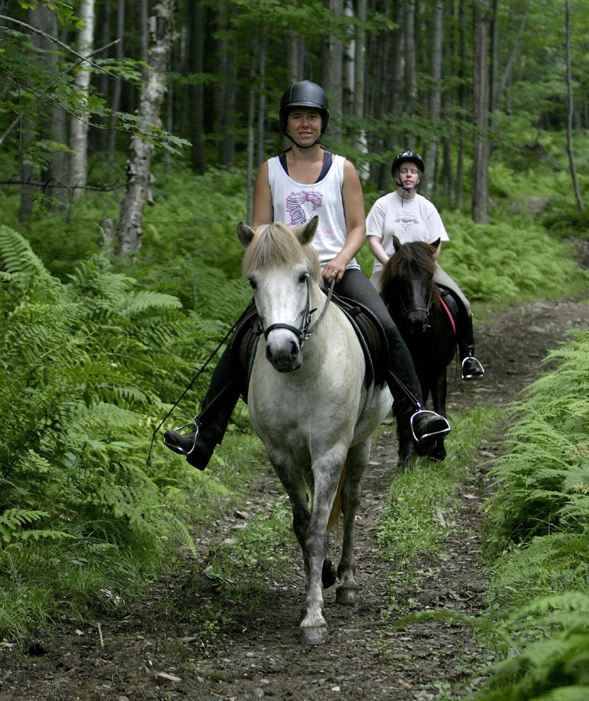Ride through meadows and forests on the Sugarbush Tolt Trek horseback riding tour in Vermont