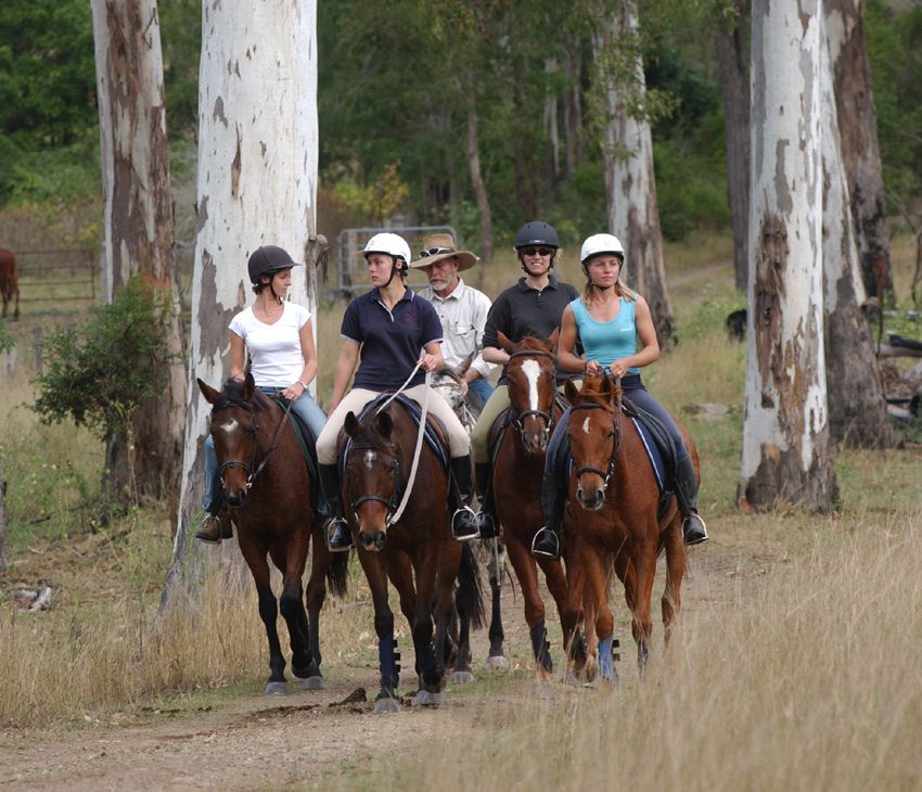 Photo Gallery Sunshine Coast A horseback riding trip in Australia on