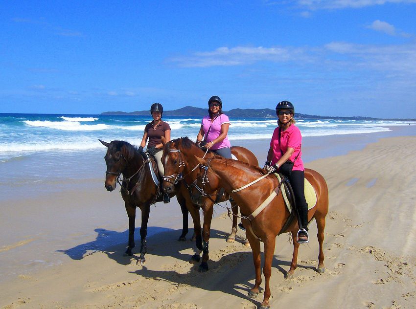 Photo Gallery Sunshine Coast A horseback riding trip in Australia on