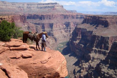 horse riding tour guide