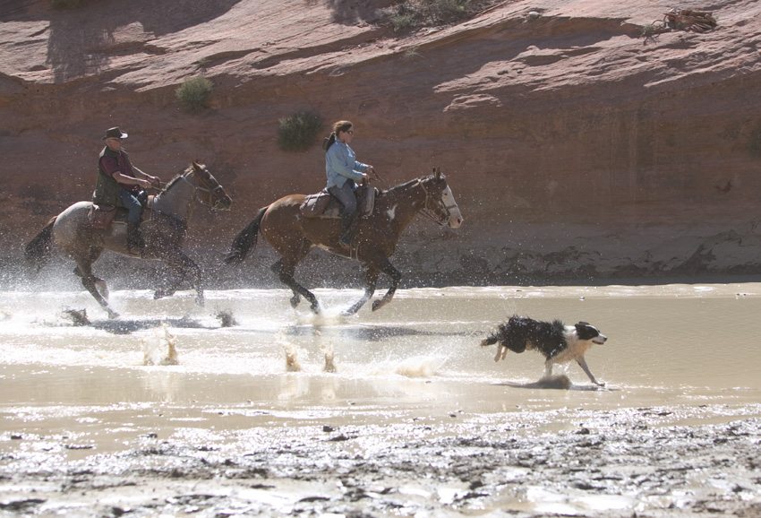 Form a close bond with your hrose on this Three Park Spectacular horseback riding vacation in Arizona and Utah