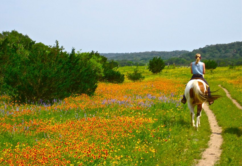 Trails of Texas Hill Country- enjoy the beautiful countryside while trail riding in Texas