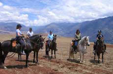 Peruvian Paso horse ride