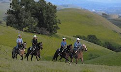 Endurance riders in Northern California have become more conscious of equestrian safety issues.