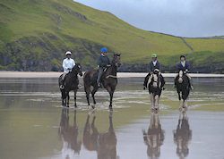 Beaches usually provide excellent footing for fast gallops, but many horses get used to running there and can be hard to slow down. Ride it out until they tire; don't panic.