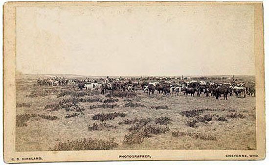 Wyoming Trail Herd, 1880's Photo by C. D. Kirkland Courtesy of Wyoming Tales and Trails