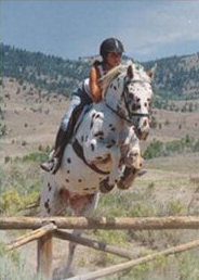 Hard hats are now universally accepted as necessary for equestrian safety in jumping.
