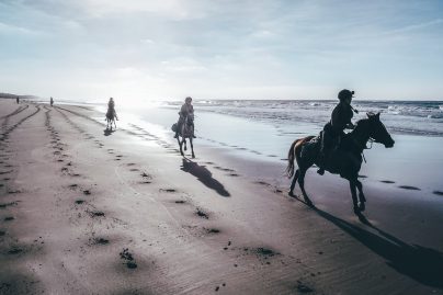 horse riding tour guide