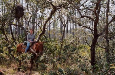 Horseback Riding in Belize - Biggi from Equitours Belize forest