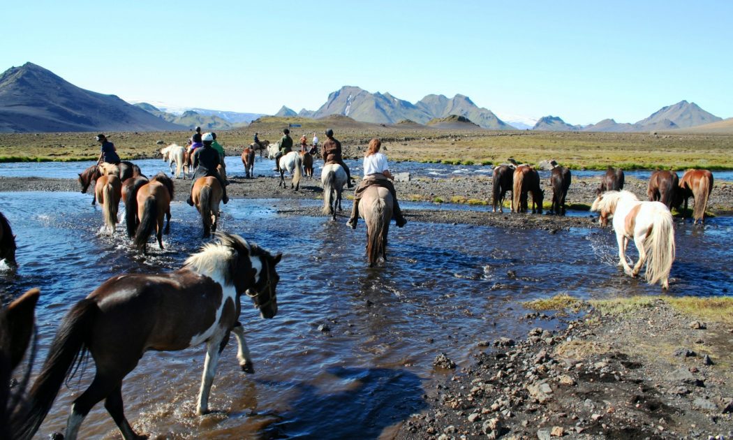 Iceland trekking