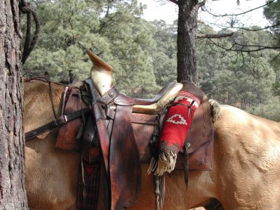 Large and comfortable Mexican saddles. La Sierra Trails ride