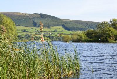 Sparkling lakes