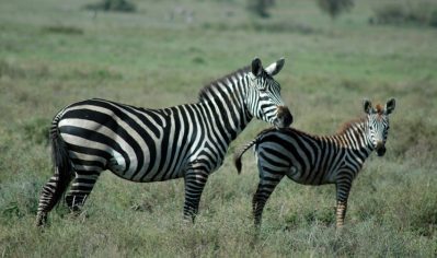 Africa ride adventure