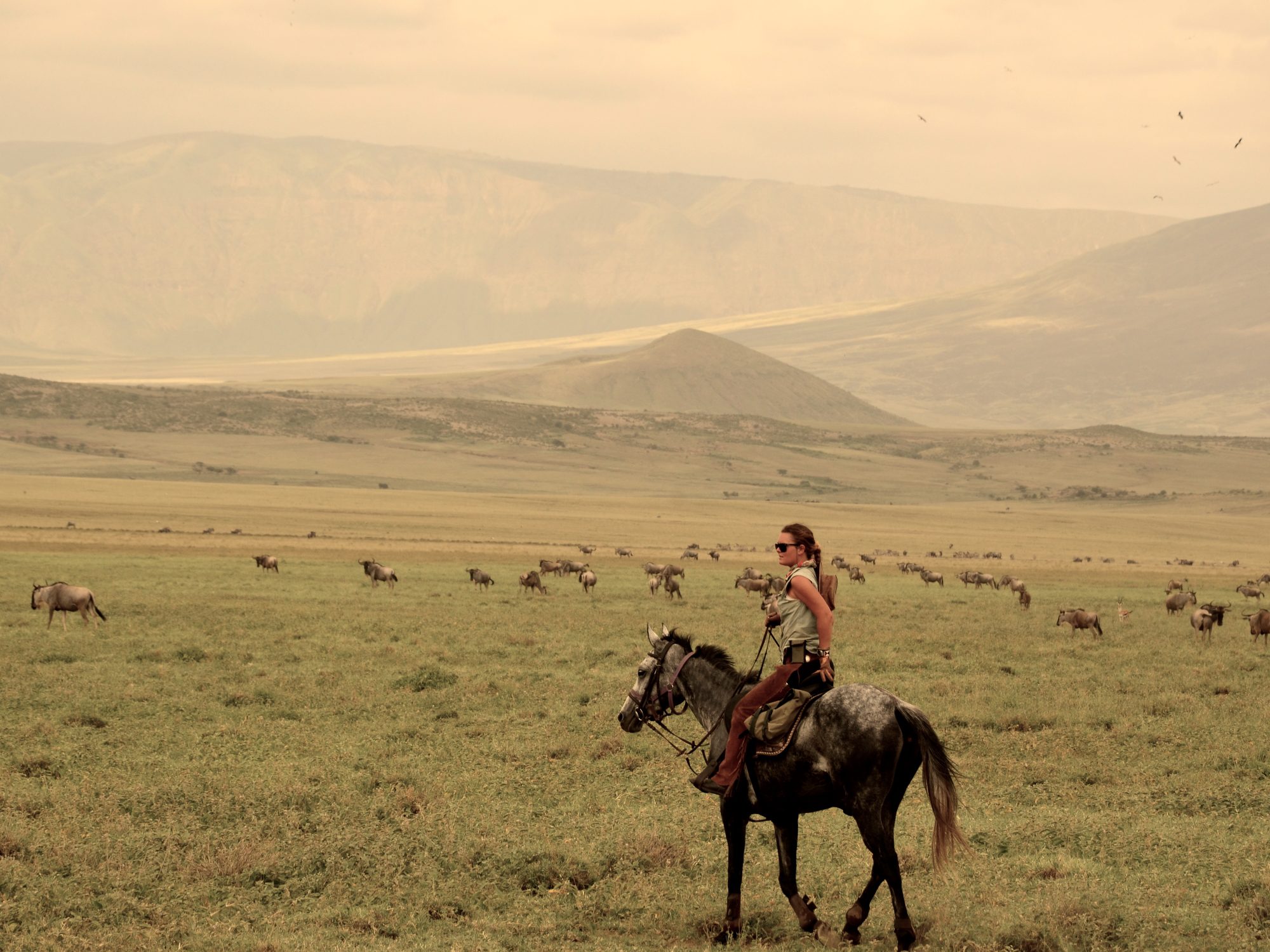 lake natron safari lake natron safari