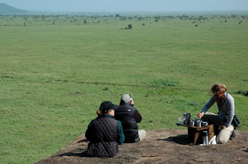 Enjoy game viewing on this tour of the Serengeti