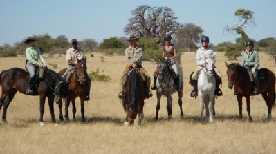 safari botswana cheval