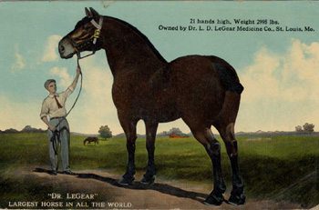 History of Horseback Riding in France Dr. LeGear