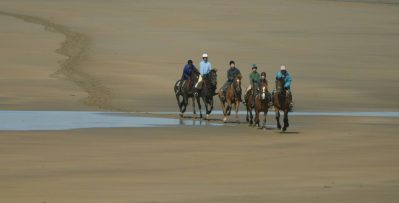 iceland horse trip