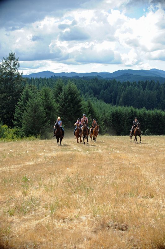 Photo Gallery Horseback riding in Oregon, through wine country and on