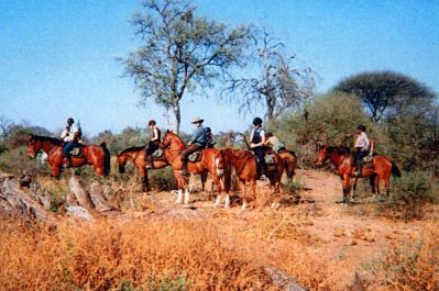 Ride Safari in Botswana: Horses