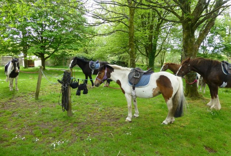 Horseback Riding Vacations in England