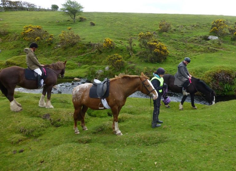Horseback Riding Vacations in England