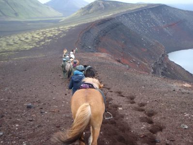 iceland horse trip