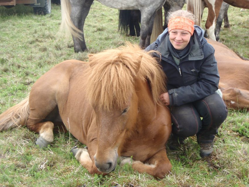 Our Danish Wrangler Nina comforting one of the younger horses who was tired on his first big excursion with the herd and riders.