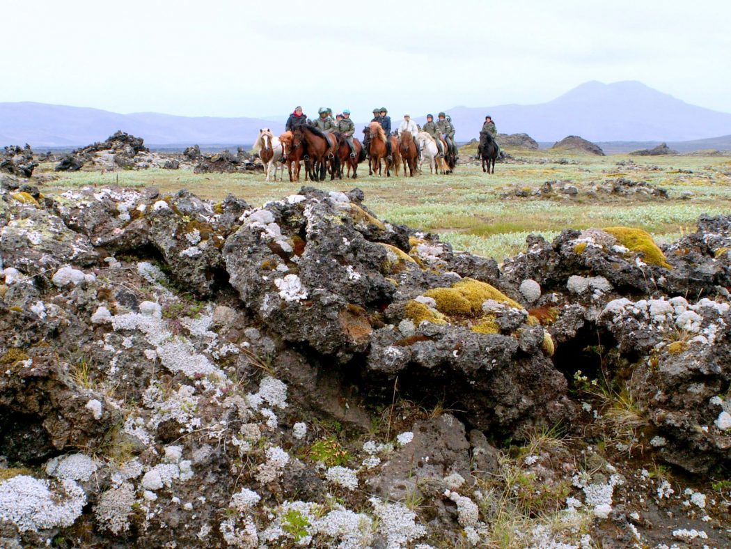 Iceland on horseback 8