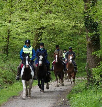 The Camel Trail on the way to Blisland