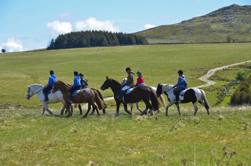 Riding on the moors