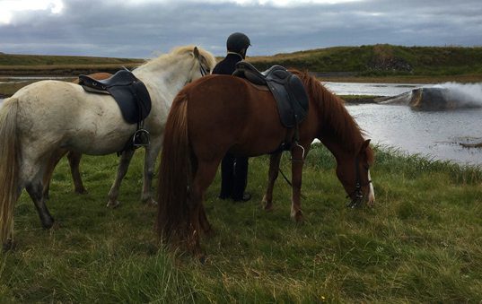 Discover Iceland