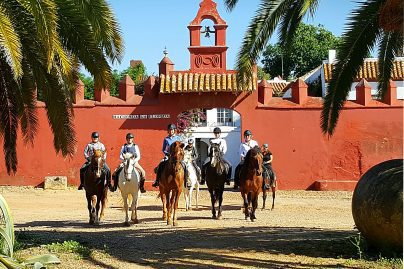 horse riding tour guide