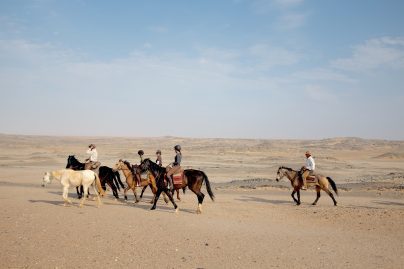 horse trips behind