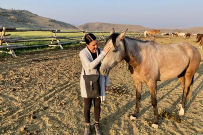 horse riding tour guide