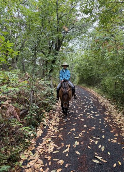 Rider on horseback following a shaded woodland trail in the Malbec region of France